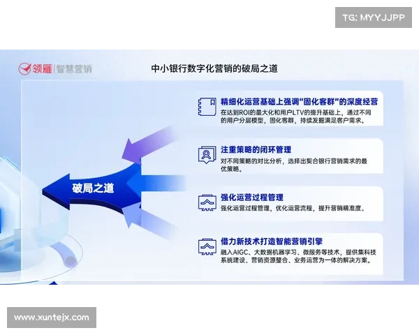 精练石中盐提取技术的核心步骤与优化策略研究 精练石中盐提取技术的核心步骤与优化策略研究