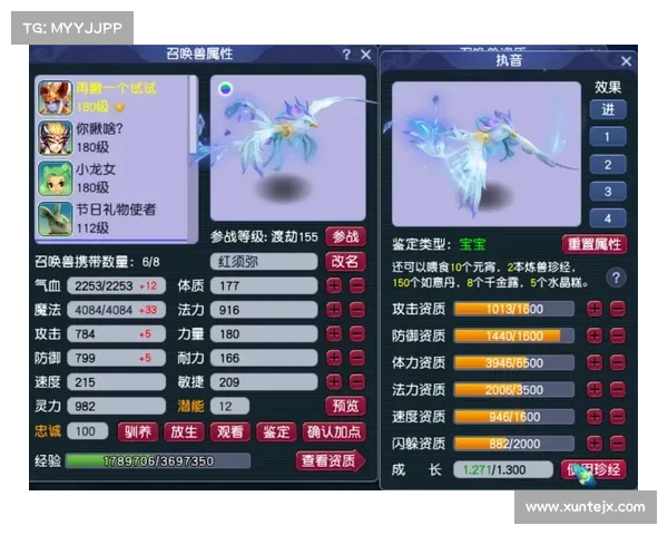 梦幻西游宝宝成长与实力提升全攻略 从基础到进阶的全面解析 梦幻西游宝宝成长与实力提升全攻略 从基础到进阶的全面解析