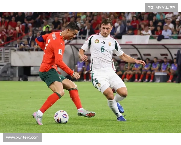 如何根据球队历史文化与定位选择最合适的葡萄牙足球俱乐部名称