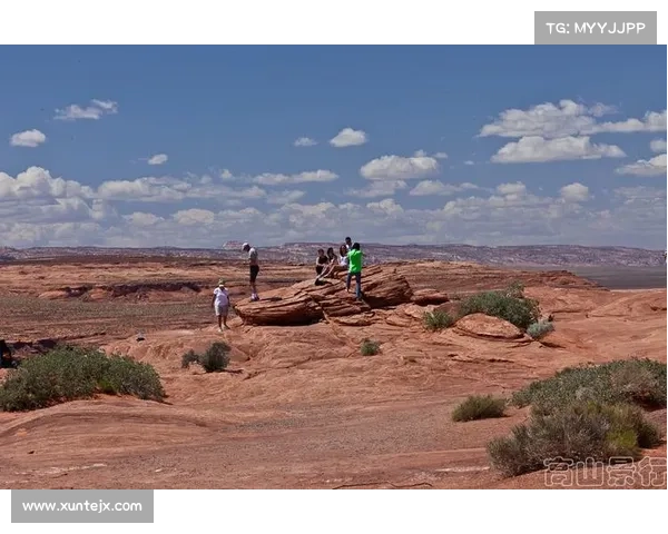 揭秘北美洲杯赛的历史渊源与背后故事的全景探寻